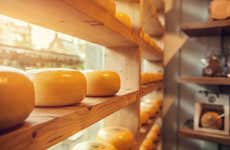 Dutch Cheese Tasting