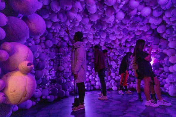 Moco Museum Amsterdam Tickets