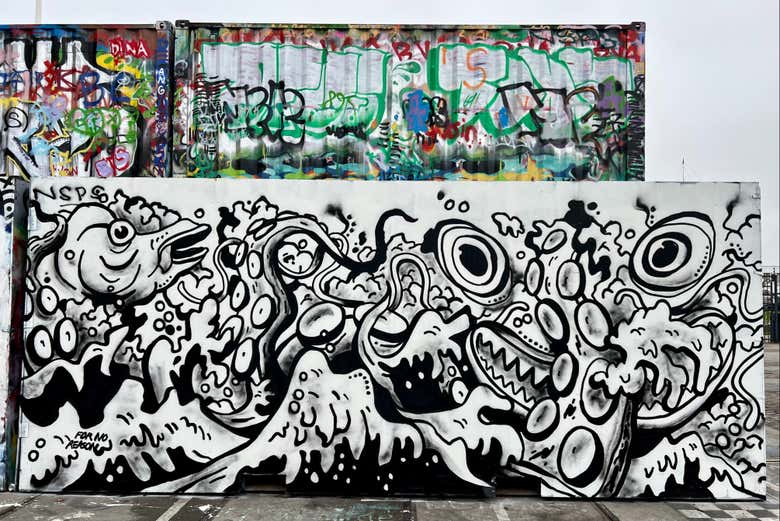 Amsterdam Street Art & NDSM Tour - Introducing Amsterdam
