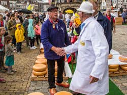 Gouda cheese market
