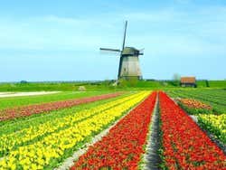 Schermerhorn old windmills