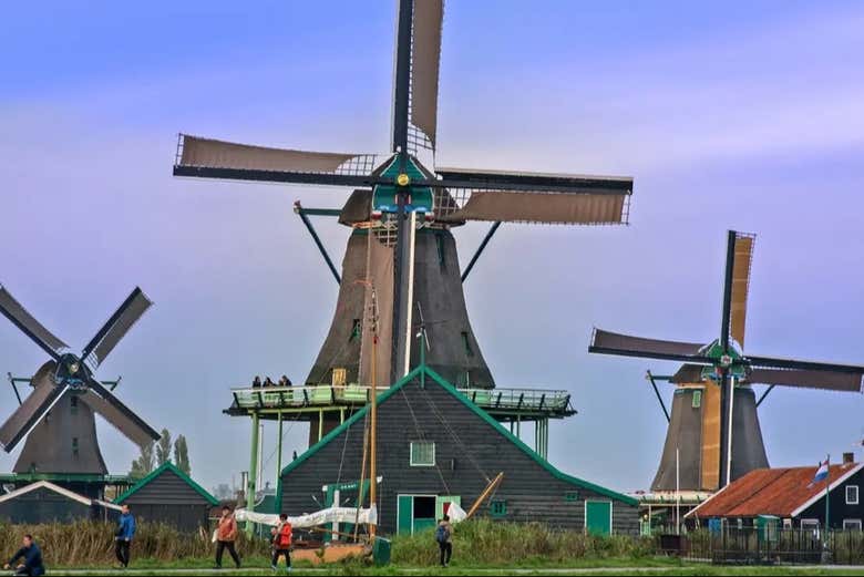 Fall in love with the Dutch countryside!