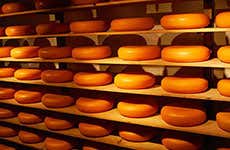 Amsterdam Travel Guide