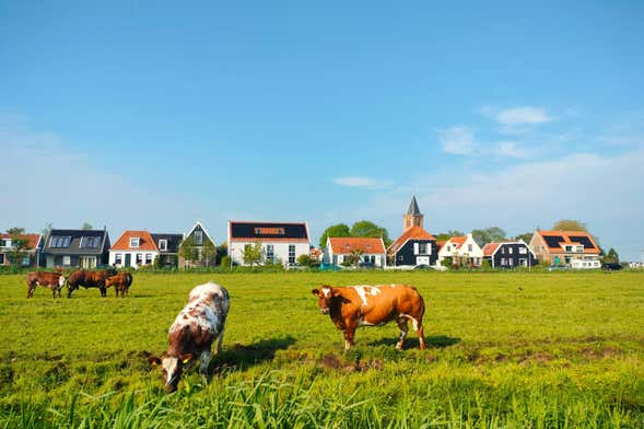 Dutch Countryside Bike Tour